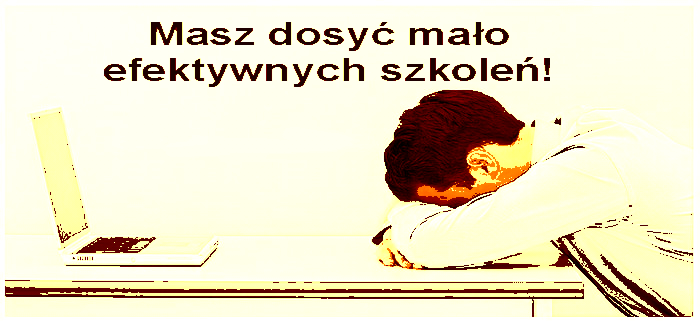 nauka holenderskiego